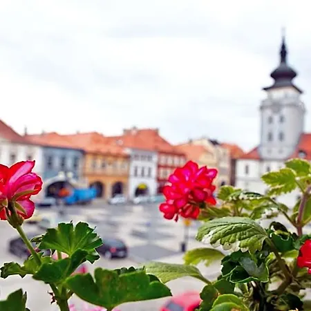 Hotel U Hada Žatec