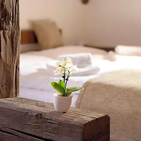 Hotel U Hada 3*