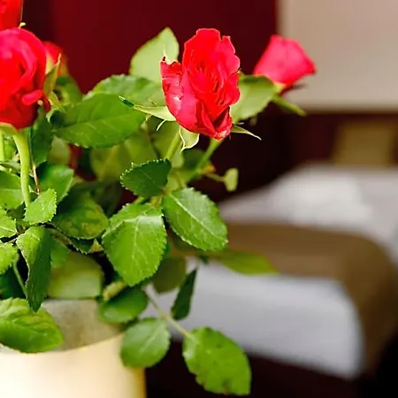 Hotel U Hada Žatec