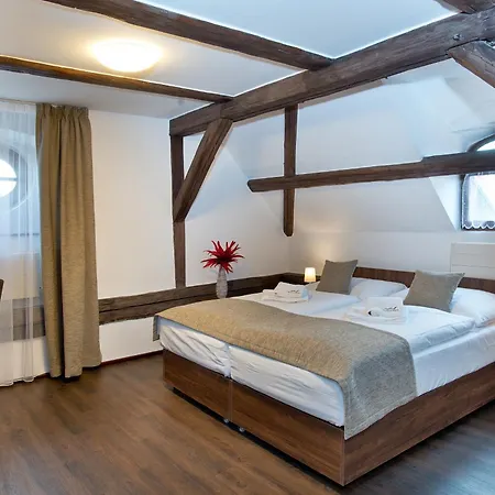 Hotel U Hada 3*
