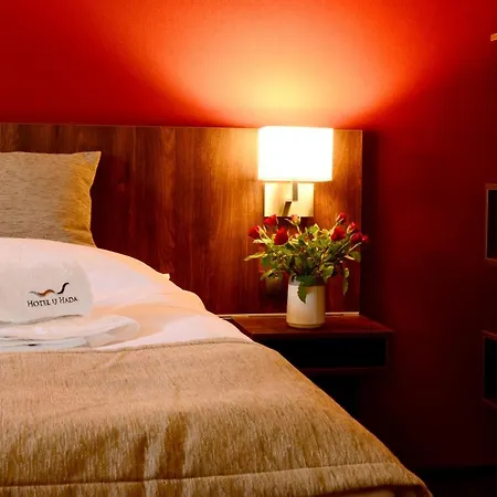 U Hada Hotel Žatec