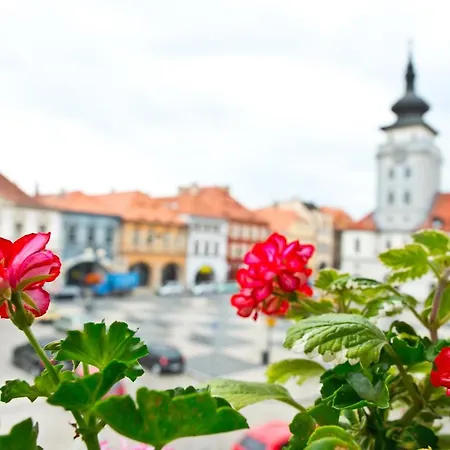 U Hada Szálloda Žatec