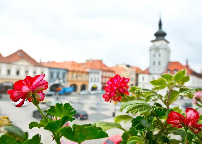 U Hada Otel Žatec
